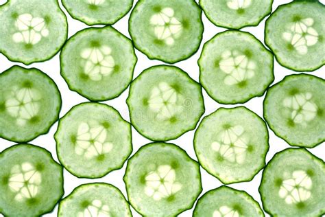 Cucumber Texture Stock Photo Image Of Healthy Circle 4738386