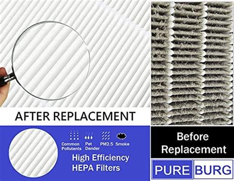 Pureburg Paquete De Filtros Hepa De Repuesto En Compatibles Con