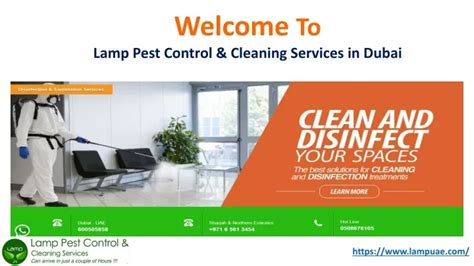 Ppt Pest Control Company Dubai Powerpoint Presentation Free Download Id12921862