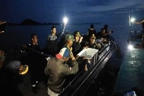 Bea Cukai Batam Gagalkan Penyelundupan 60 Ribu Benih Lobster Senilai