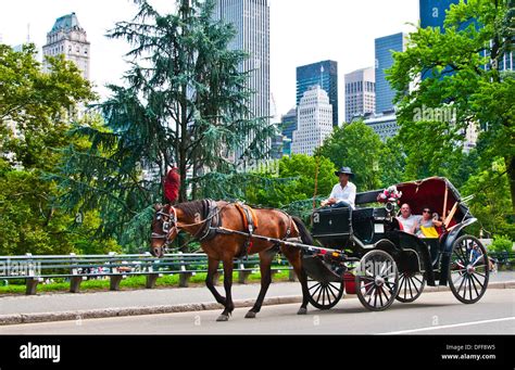 Horse drawn carriage Stock Photo - Alamy