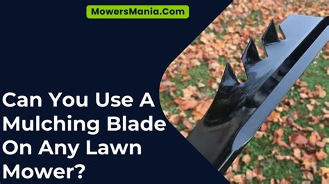 Can You Use A Mulching Blade On Any Lawn Mower Mowersmaniacom