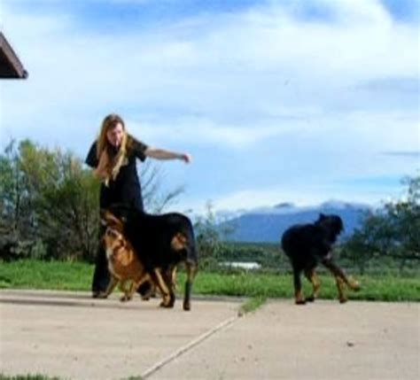 The Role of Muscle Memory in Dog Training | HubPages