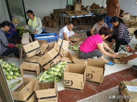 農民農作物滯銷血本無歸，原因是什麼？怎麼樣解決這些問題？ 每日頭條