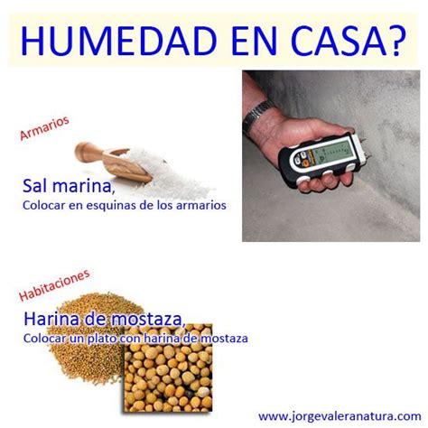 Eliminar Humedad En Casa