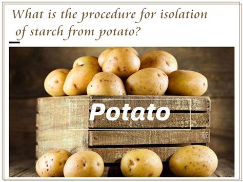 What Is The Procedure For Isolation Of Starch From Potato Blog