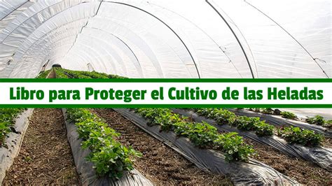 Libro Para Proteger El Cultivo De Las Heladas Pdf