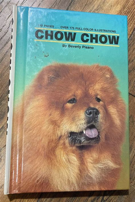 C Mo Ganarse La Confianza De Un Chow Chow Como Cocinar Y Comer