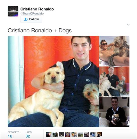 Dogs Ronaldo Driverlayer Search Engine