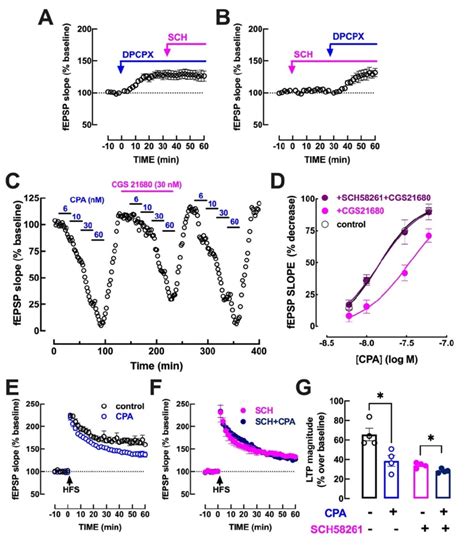 The Activation Of A2ar Aaenuates The Ability Of A1r To Control Download Scientific Diagram