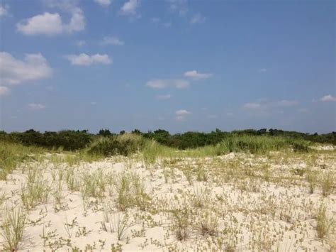 All about the Inlet Beach, Florida - Floridaing