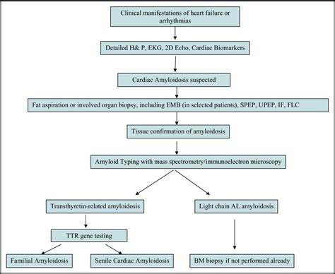 Cardiac Amyloidosis A Practical Approach To Diagnosis And Management