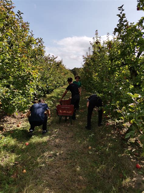 Opération jus de pommes St Félix La Salle