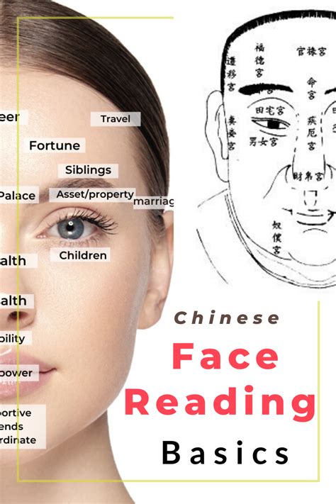 Chinese Face Reading Basics — Picture Healer Feng Shui And Fortune Telling