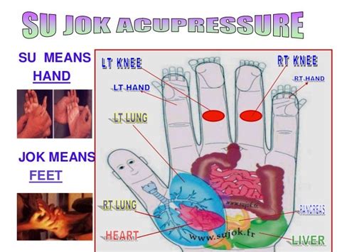 Sujok Accupressure Specially Tips For Joints Pain Knee Back Cervic