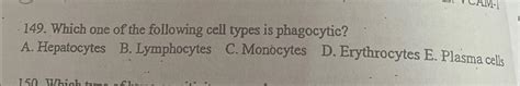 Solved Which one of the following cell types is | Chegg.com