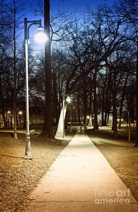 Park Path At Night Photograph by Elena Elisseeva