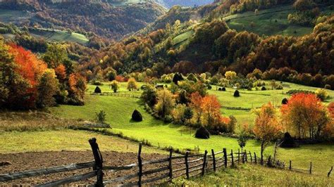 Nature Landscape Trees Forest Mountain Hill Field Grass Fall