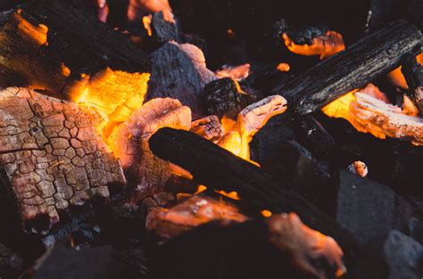 Close-up of Burning Logs · Free Stock Photo