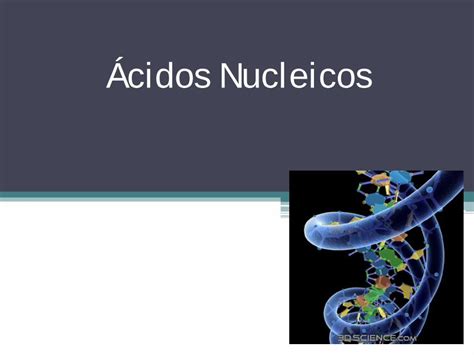 PDF Ácidos Nucleicos Bioyciencias Biología Geología y Se