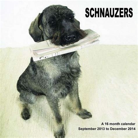 Schnauzers 2014 Wall Calendar Magnum Calendars Amazon In Books