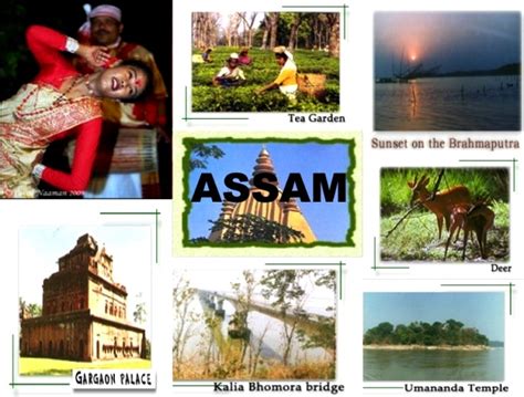 Tourist Places in Assam | Tourist Attractions | Travel Destinations at ...