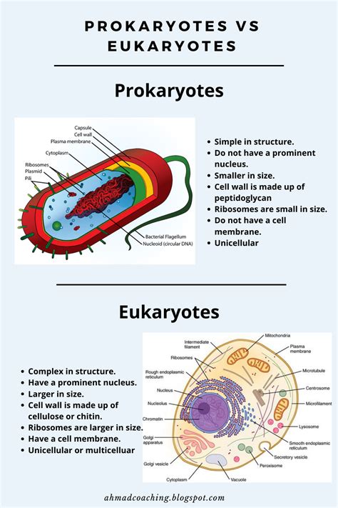 Prokaryotes Vs Eukaryotes Study Biology Learn Biology Cell Biology