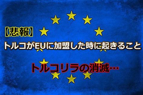 トルコのeu加盟実現は絶望的過ぎたその理由を徹底解説！ トルコリラでスワップポイント生活を夢見る！崖っぷちフリーランスの生存戦略