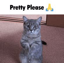 baby gif  baby cute discover share gifs