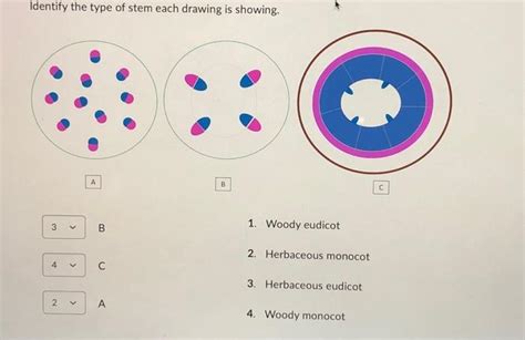 Solved The images below are showing different types of | Chegg.com