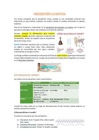 Apuntes T4 Percepcion Pdf