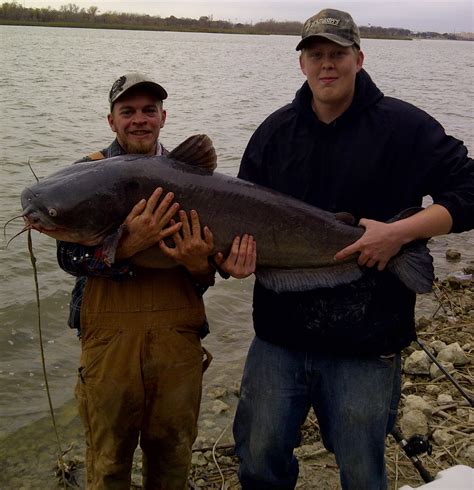 Central Texas Catfish Angling Great In Colorado Brazos Rivers In Summer