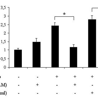 Influence Of Egf Dht And Flutamide Fl On Mapk Pathway Lncap Cells