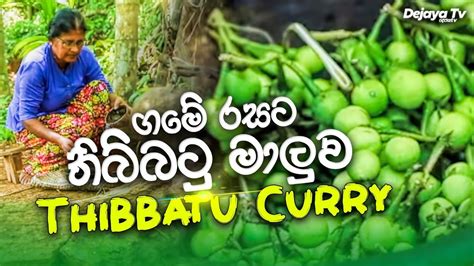 ගමේ රසට තිබ්බටු මාලුව Thibbatu Curry Sri Lankan Food Recipe