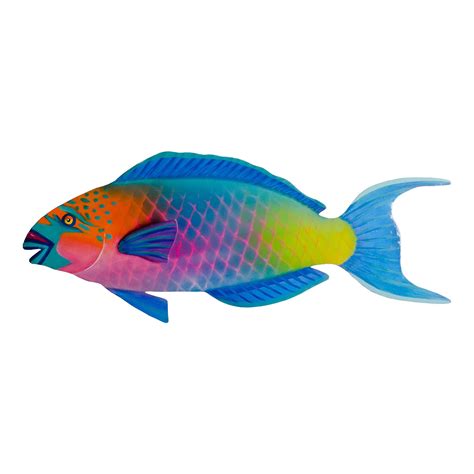 Ikan Bayan Stoplight Parrotfish Kelvinaxfuentes