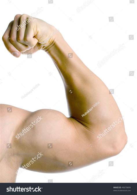 Strong Mans Hand Stock Photo 49679899 Shutterstock