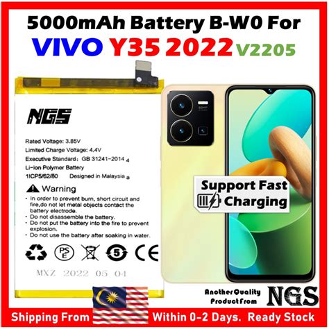 Orl Ngs Brand Mah Battery B W Compatible For Vivo Y V