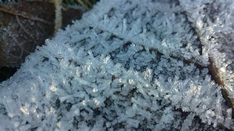 Frost Crystals by Molly-Z on DeviantArt