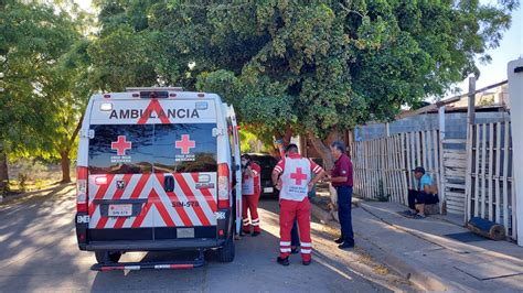 Dos Personas Resultan Heridas Al Ser Atacadas Por Abejas En Los Mochis