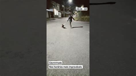 Pucca e suas manias Ela inventa de dar um rolêzinho à meia noite e