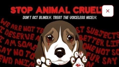 Petition · Stop Animal Abuse Protect Our Voiceless Companions