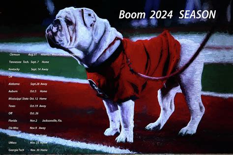 Uga Season Photograph By Dennis Baswell Fine Art America