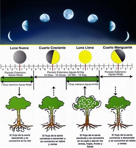 Que Es El Calendario Agricola Lunar