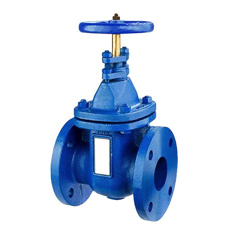 Flanged Capital Valves Ltd