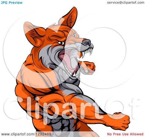 Clipart Of A Muscular Fox Man Mascot Punching From The Hips Up