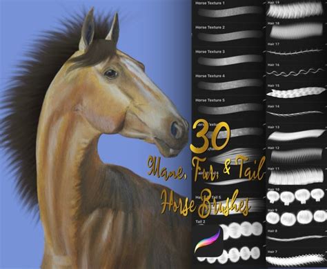 Horse Mane Brush Set Procreate Horse Brushes Procreate - Etsy