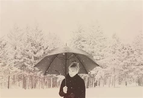 scathingly brilliant   snow snow snow