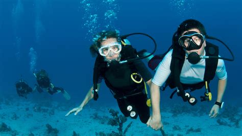 Try Dive Dhow Cruise Aed 450 Padi Courses Bermuda Diving Center