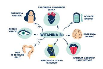 Witamina B12 właściwości objawy niedoboru Gdzie występuje witamina B12