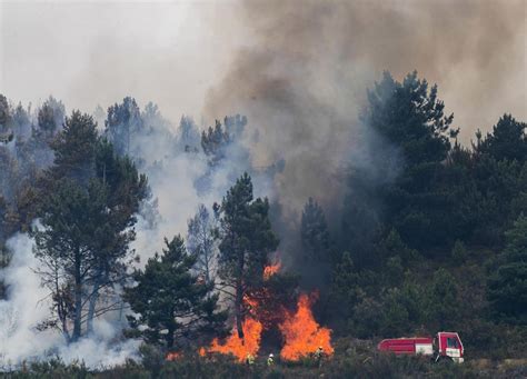 16 Incendios En Galicia Han Quemado Ya 18 835 Hectáreas Andalucía